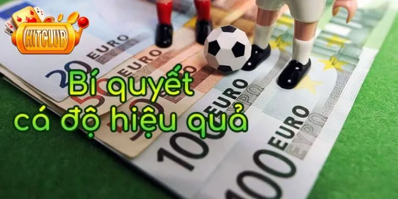 Biết tận dụng kinh nghiệm của người đi trước để chiến thắng nhanh hơn